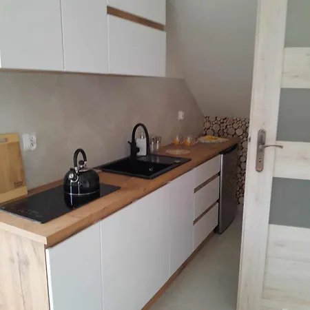 アパート U Joli ヴィスワ