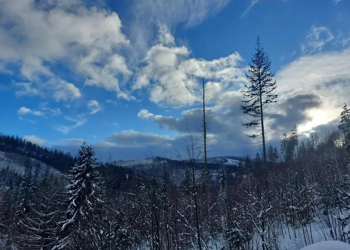 דירה U Joli ויסלאו